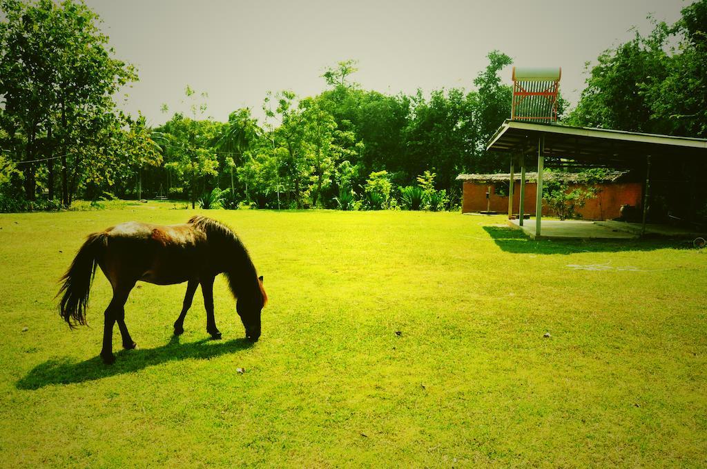 Krsc Thailand แก่งกระจาน ภายนอก รูปภาพ
